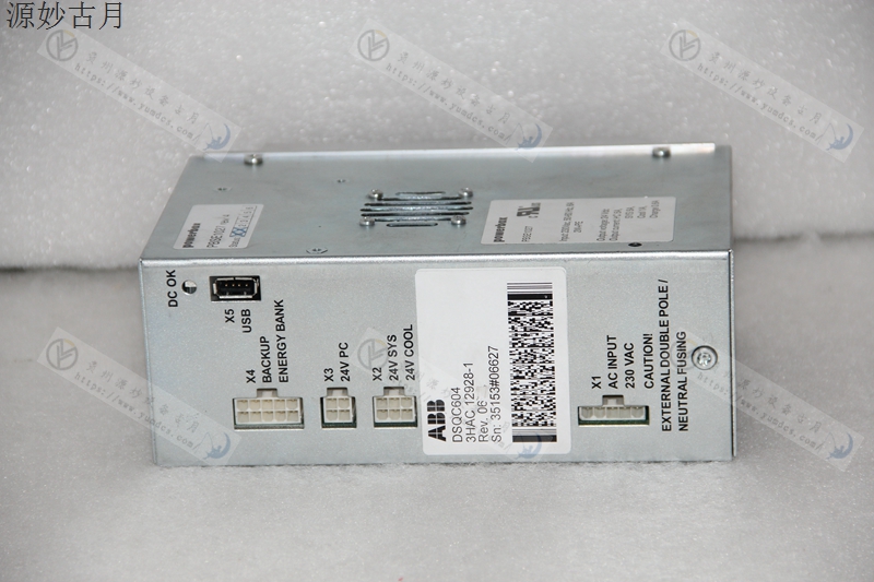 GE DS202PMAG4 通用电气