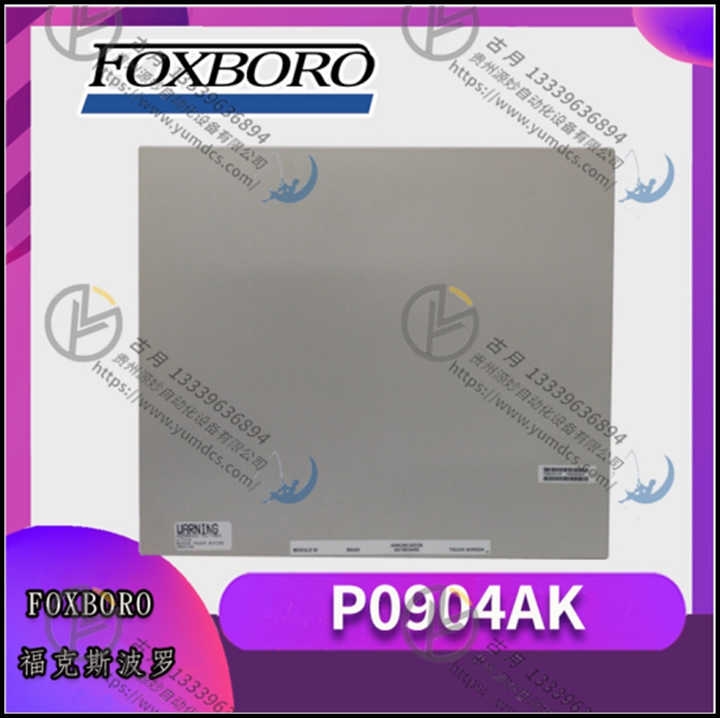 FOXBORO FEM100 全新模块