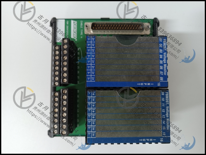 FOXBORO FCM2F2 全新模块