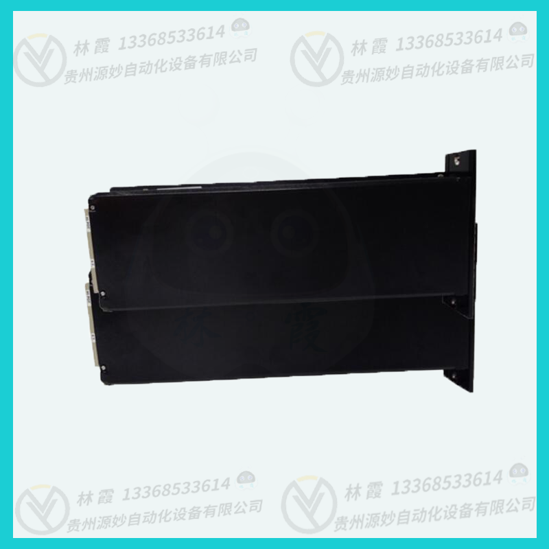 TRICONEX  PM6301A热电偶模拟输入块 温控器 调功器