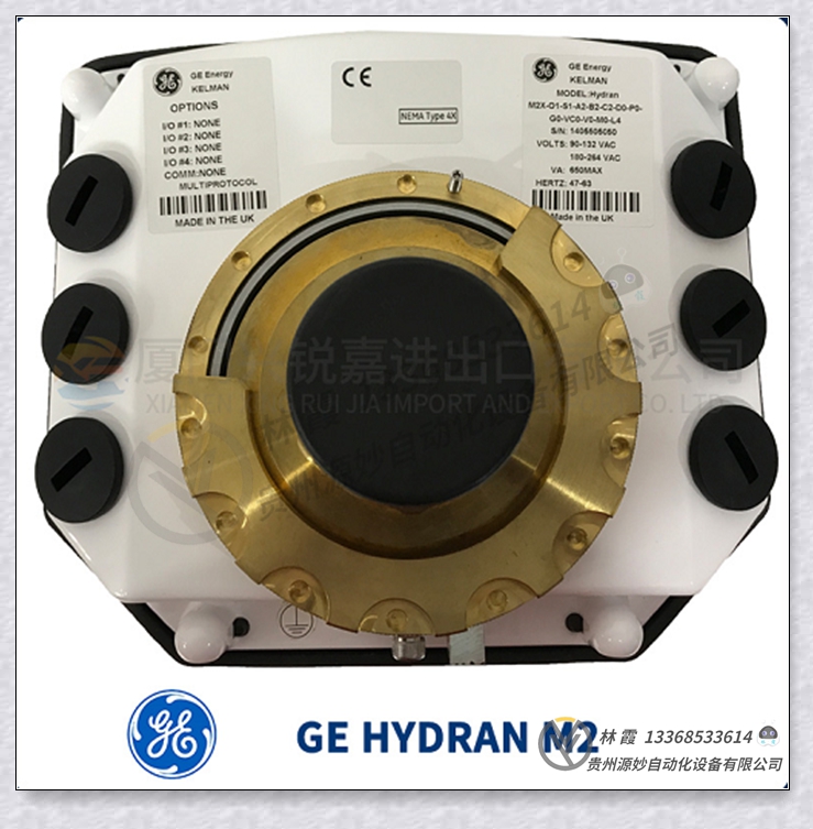 GE  F650-N-F-L-F-2-G-1-HI-P-6E 全新 全新 模块 控制器 卡件 全新现货包邮